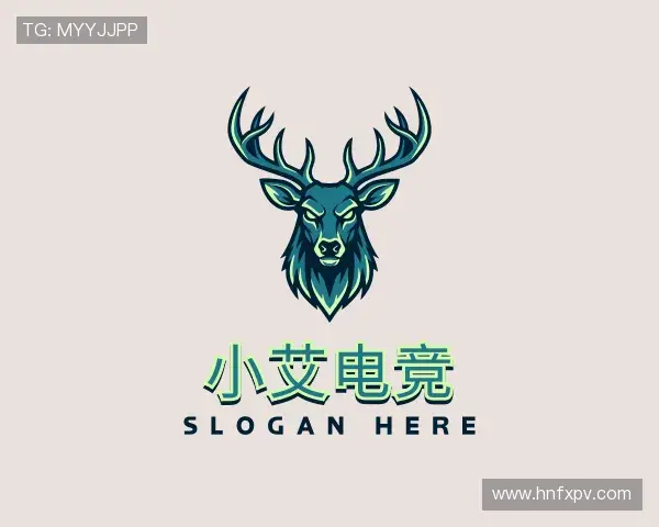 解读小艾电竞官网